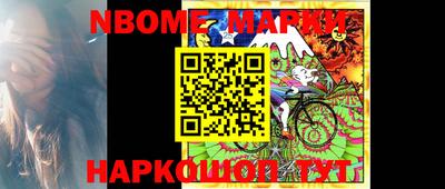 индика Камень-на-Оби