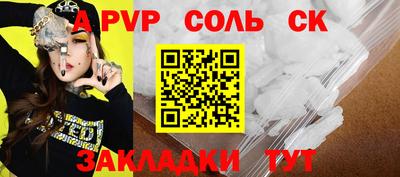 индика Камень-на-Оби
