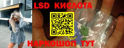индика Камень-на-Оби