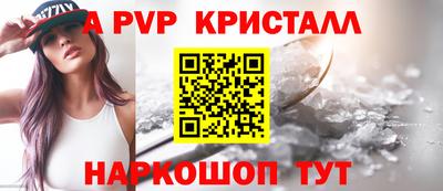 индика Камень-на-Оби