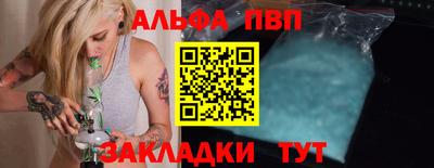 индика Камень-на-Оби