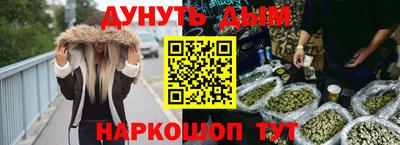 индика Камень-на-Оби