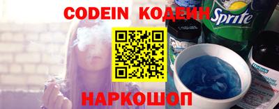 индика Камень-на-Оби
