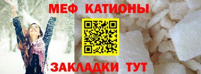 индика Камень-на-Оби