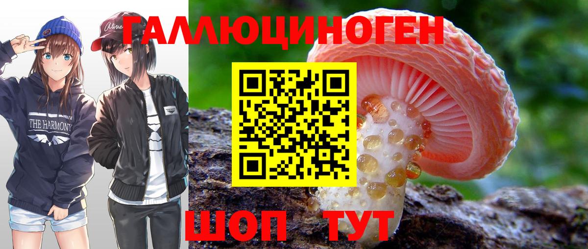 Галлюциногенные грибы GOLDEN TEACHER Назрань