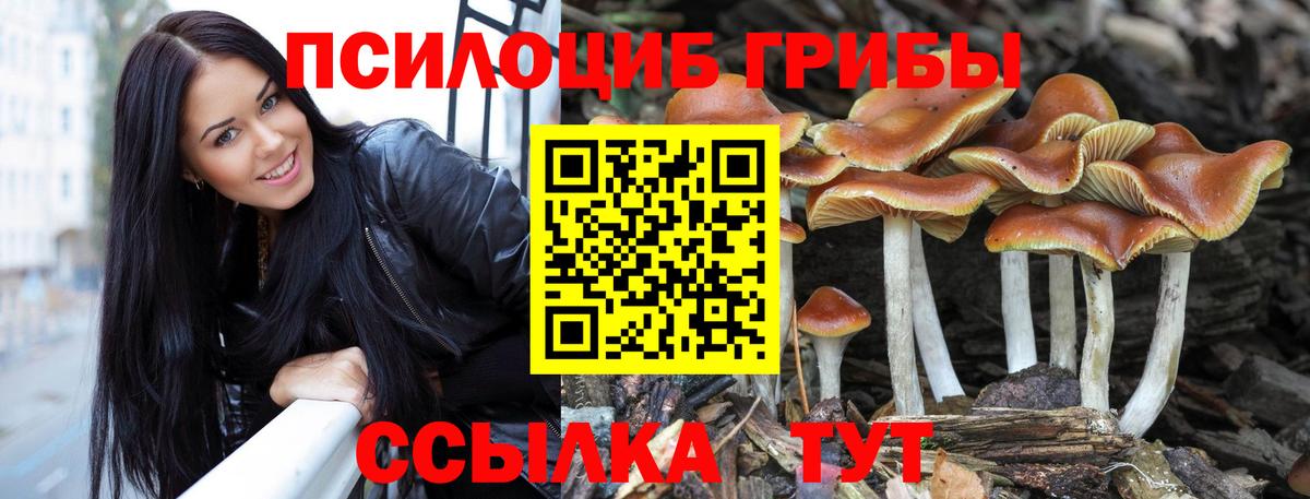 Псилоцибиновые грибы мицелий  Вход с VPN  Назрань 